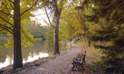 Autumn Adds Colour to Niagara Luxury Real Estate 