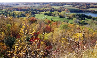 Seasonal Trees