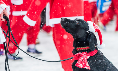 Santa Claus Snow