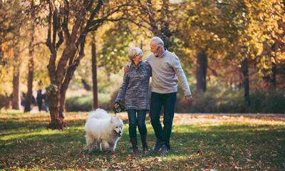 Couple walking their dog in autumn