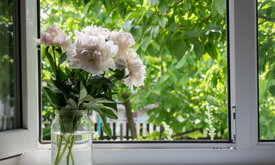 Spring Vase by Window