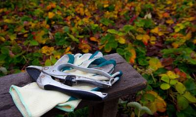 Gardening Gloves During Autumn Season