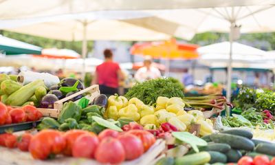 Variety of Organic Vegetables from Farmer's Market