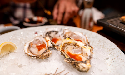 Fresh seafood oysters