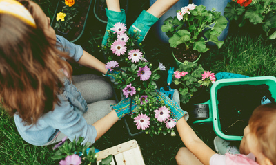 Family planting flowers together